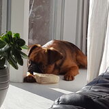 Foto van kimberley