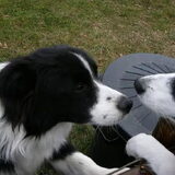 Lynn (rechts) met halfzus Daisy (links)