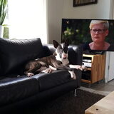 Foto van Hannah & Bink† en Beertje
