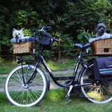 Binky en Zenna op vakantie op de fiets