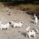 Foto van Heleen