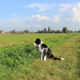 Wandelen op de dijk