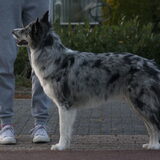Foto van Angelique; Bruno, Charlie & Fenna