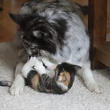 Foto van Angelique; Bruno, Charlie & Fenna