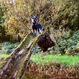 Foto van Ciska en Spanjaardje Moh (Bambi r.i.p.)