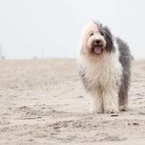 Foto van Naomi