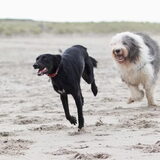 Foto van Naomi