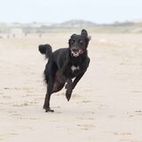 Foto van Naomi