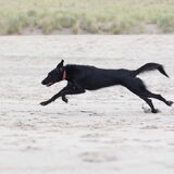 Foto van Naomi