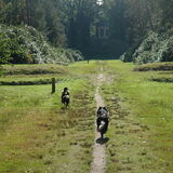 Foto van Lise met Ruby, Naïn & Qalvin