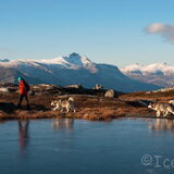 Foto van Alaska's Finest!