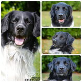 Foto van Doortje & Tibbe
