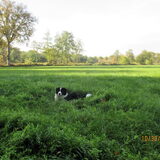 Foto van carla en Buddy