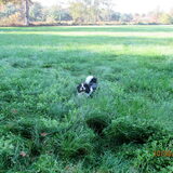 Foto van carla en Buddy