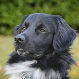 Foto van Doortje & Tibbe