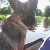 Hier waren we met nesca aan het varen in Gie hoorn