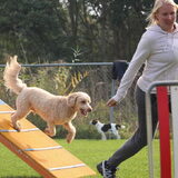 Foto van Karin & Levi