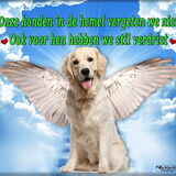 Foto van Jeanine :)