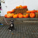 Foto van Claudia