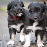 Foto van Team Black & White