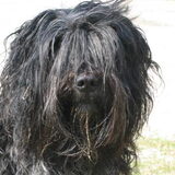 Naischa is hier 3 jaar.
