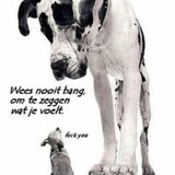 Foto van Willemijn - baasje van Vika .           Bams  en Ogin   ¥ .