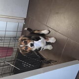 Yes ik heb weer keukenrol