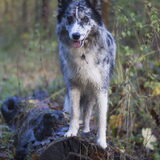Foto van Angelique; Bruno, Charlie & Fenna