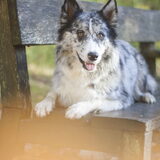 Foto van Angelique; Bruno, Charlie & Fenna