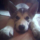 Nayla met 12 weeken