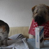 Foto van Baloe