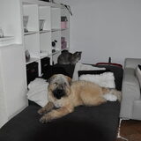 Foto van Baloe