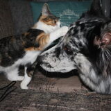 Foto van Angelique; Bruno, Charlie & Fenna