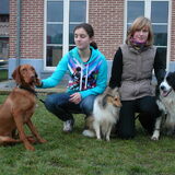 zino met zijn vriendin Dasja(visla) en vriend Bas (border collie).