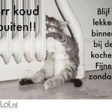 Foto van Anna
