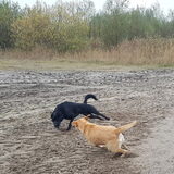 Foto van laura   Diva&Nova