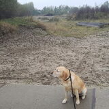 Foto van laura   Diva&Nova