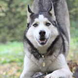 Foto van Lavina