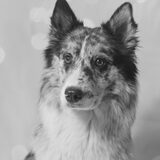 Foto van Angelique; Bruno, Charlie & Fenna