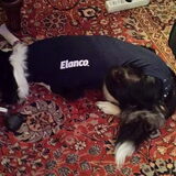 Foto van Tinaa.