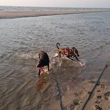 Foto van Eef en Tjibbe