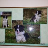 Foto van carla en Buddy