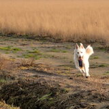 Foto van Hetty & Skipper