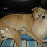 Foto van Ina, Misty en Aysa