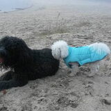 Foto van sylvia