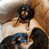 Foto van Wendy