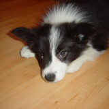 Foto van Math. & Daisy
