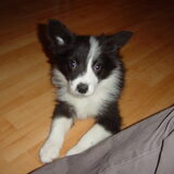 Foto van Math. & Daisy