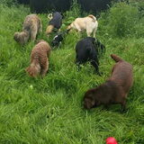 Foto van Ina, Misty en Aysa
