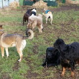 Foto van Ina, Misty en Aysa